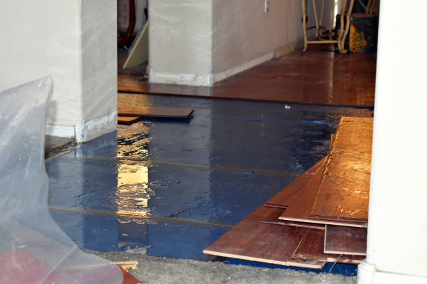 Professional Burst Pipe Cleanup technician working in Hebron, IN